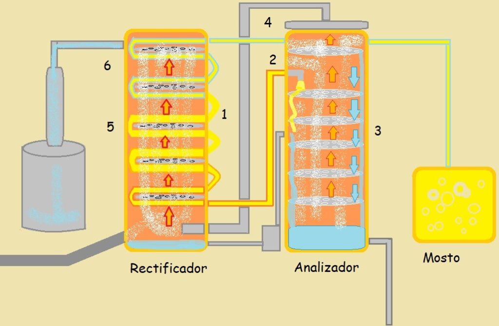 Bebidas Alcohólicas ¿Qué son y de dónde vienen? Cocteles Coquetos
